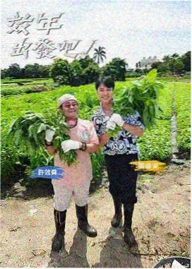 山月不知心底事榜单缩略图